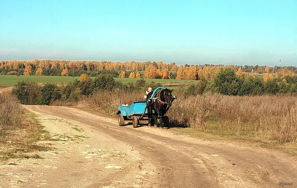 разная жизнь...