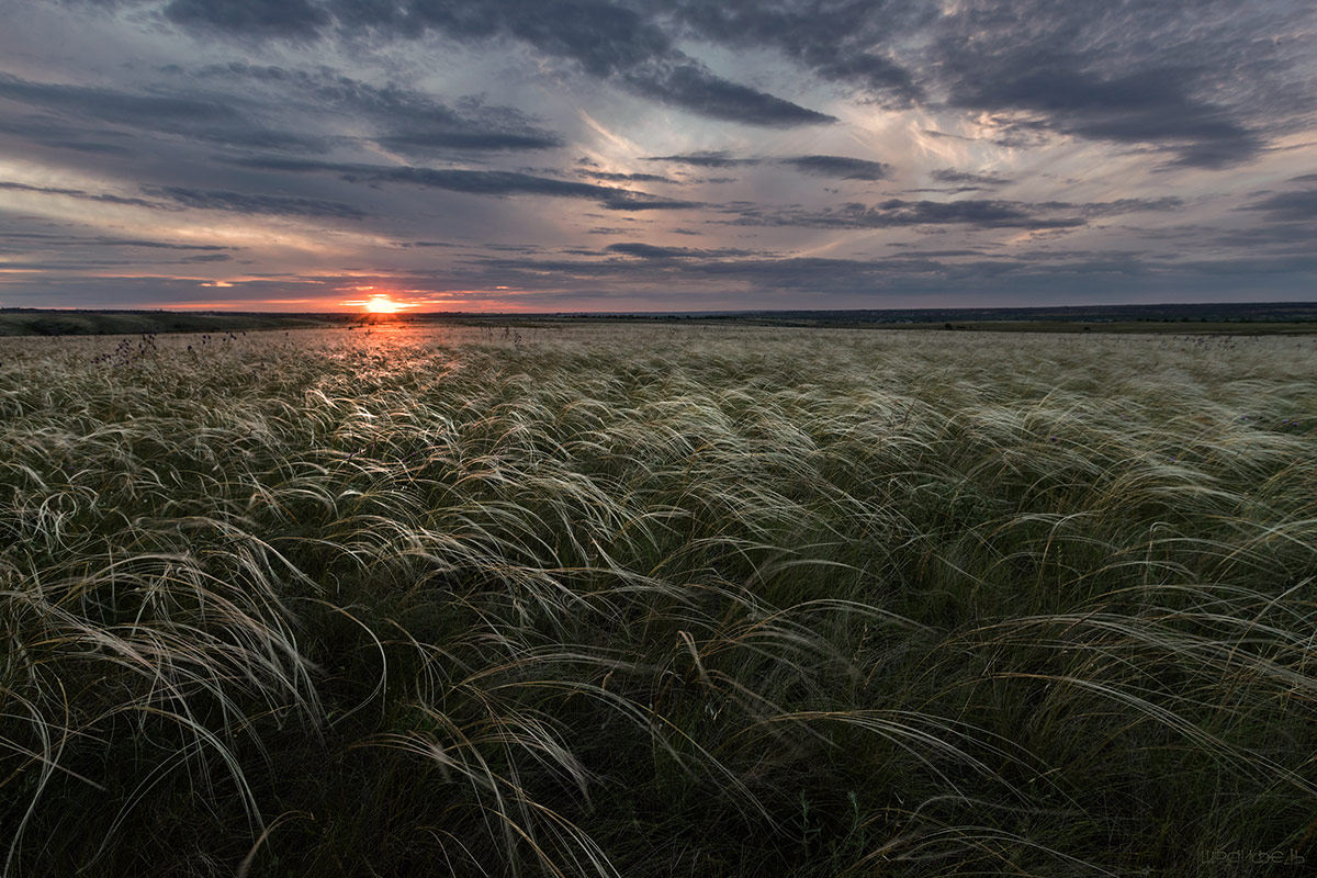 Конец дня в начале июня