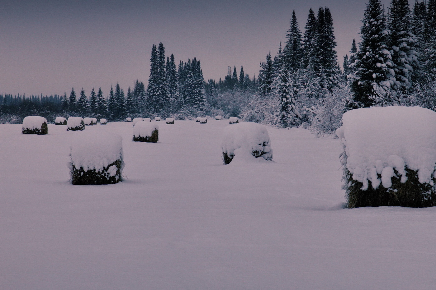 После снегопада.