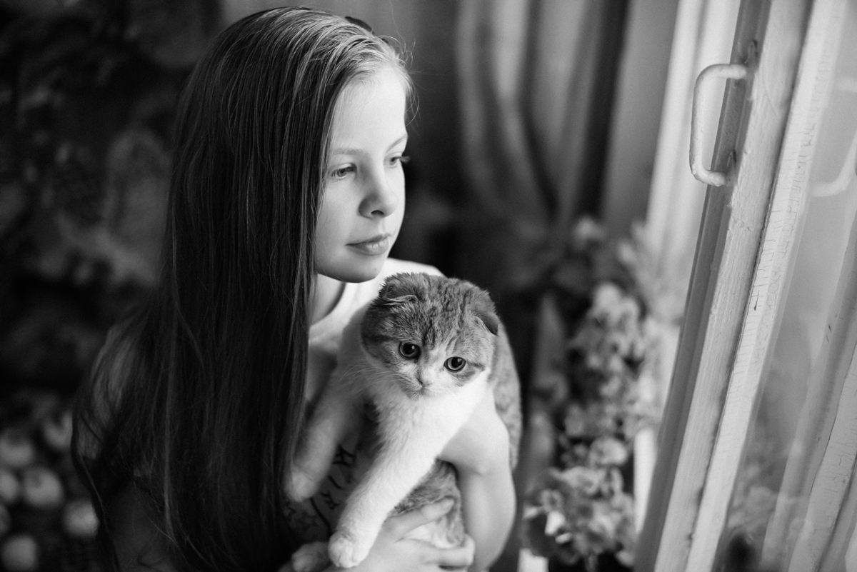 Оконный свет