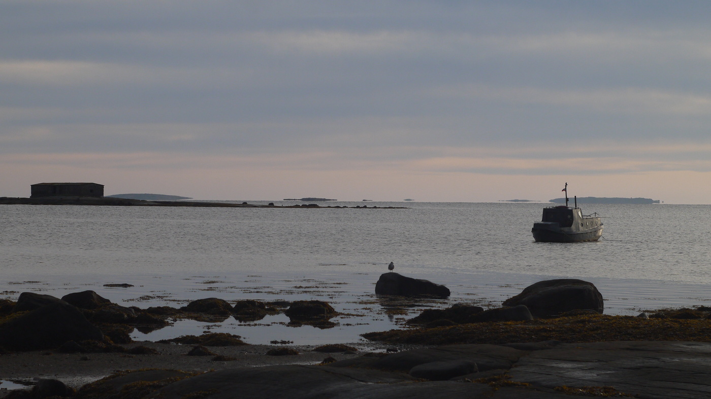 Утро Белого моря.