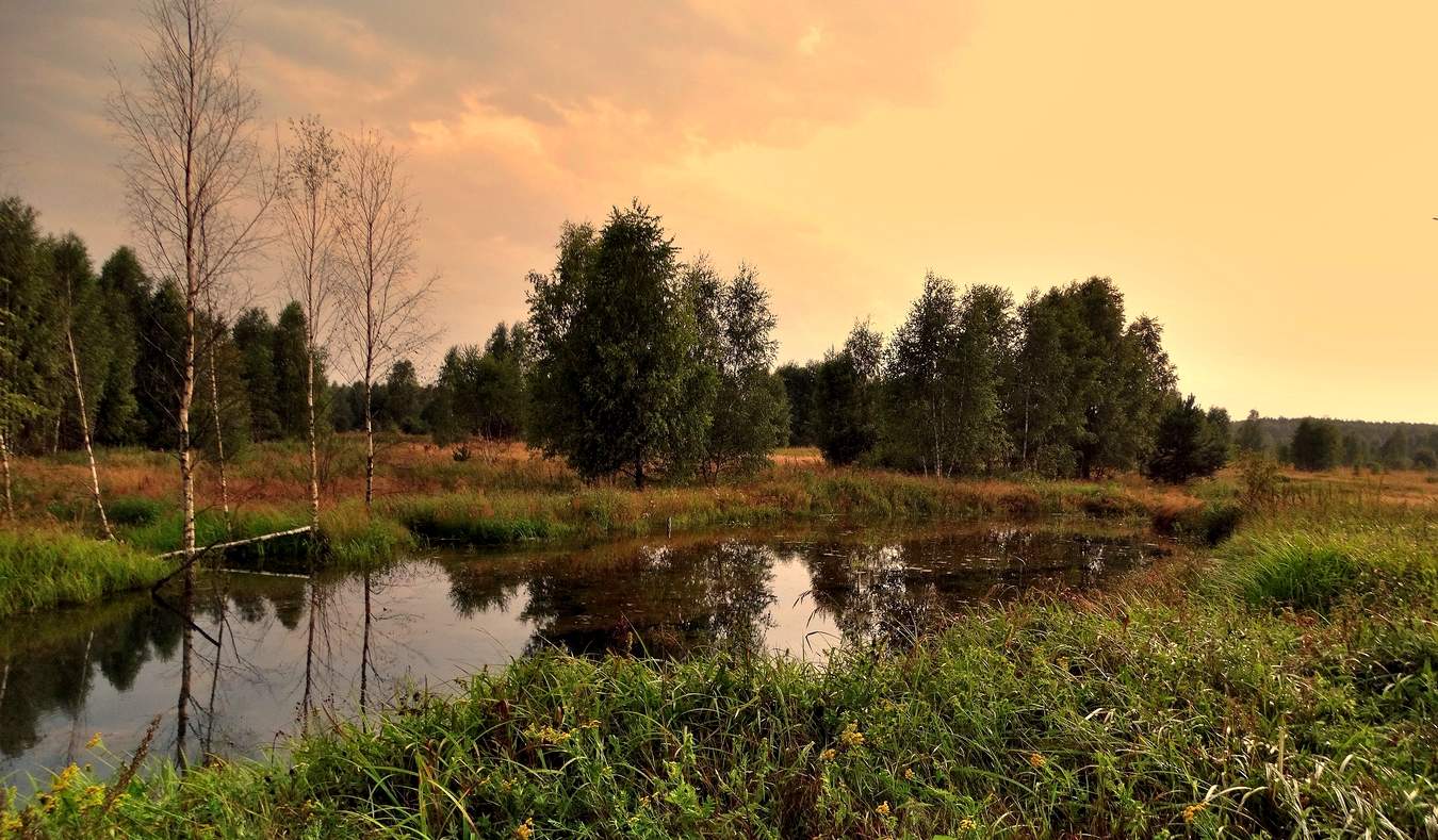 Тихий летний вечер после грозы