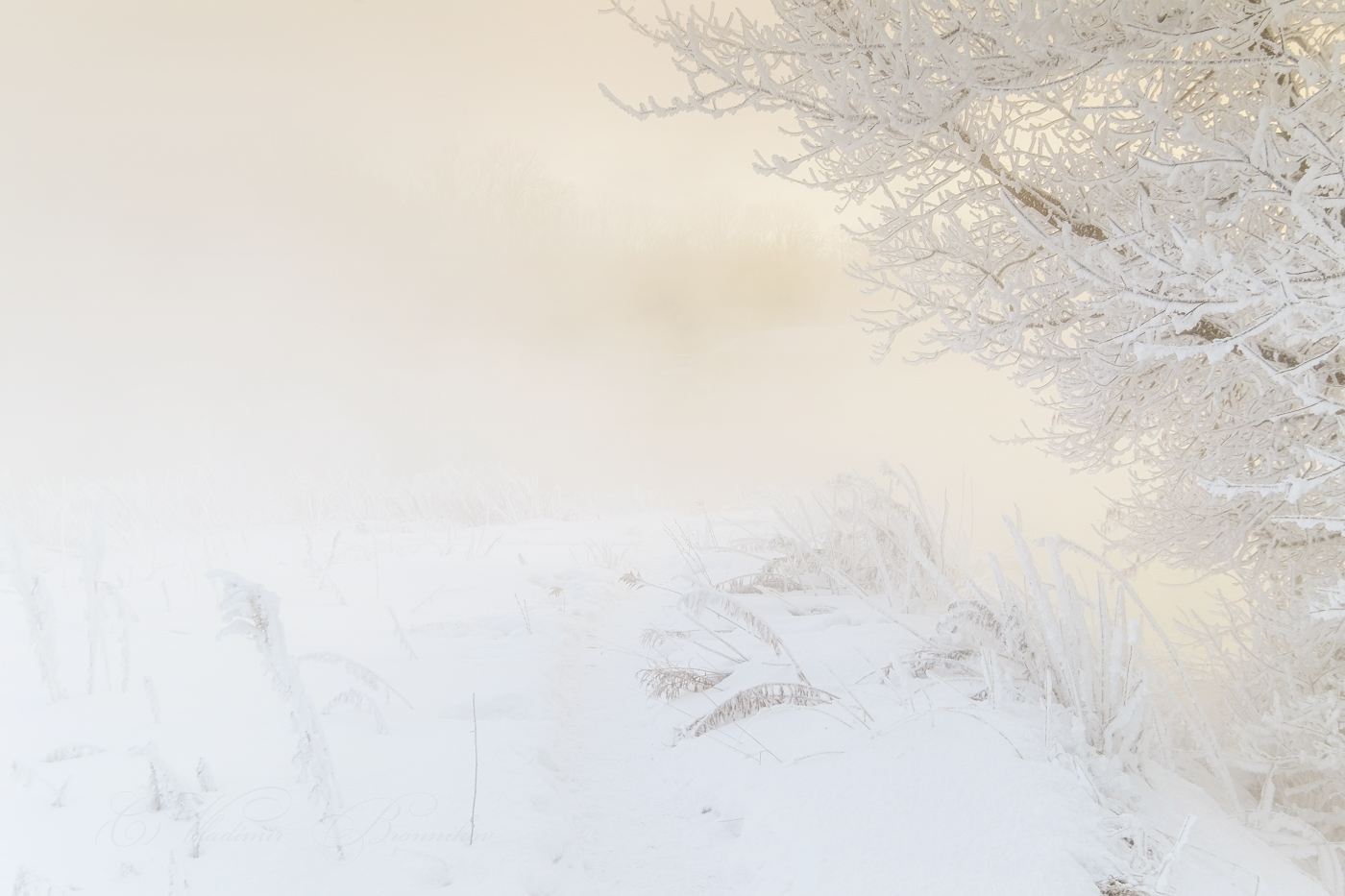 Начало зимнего сезона