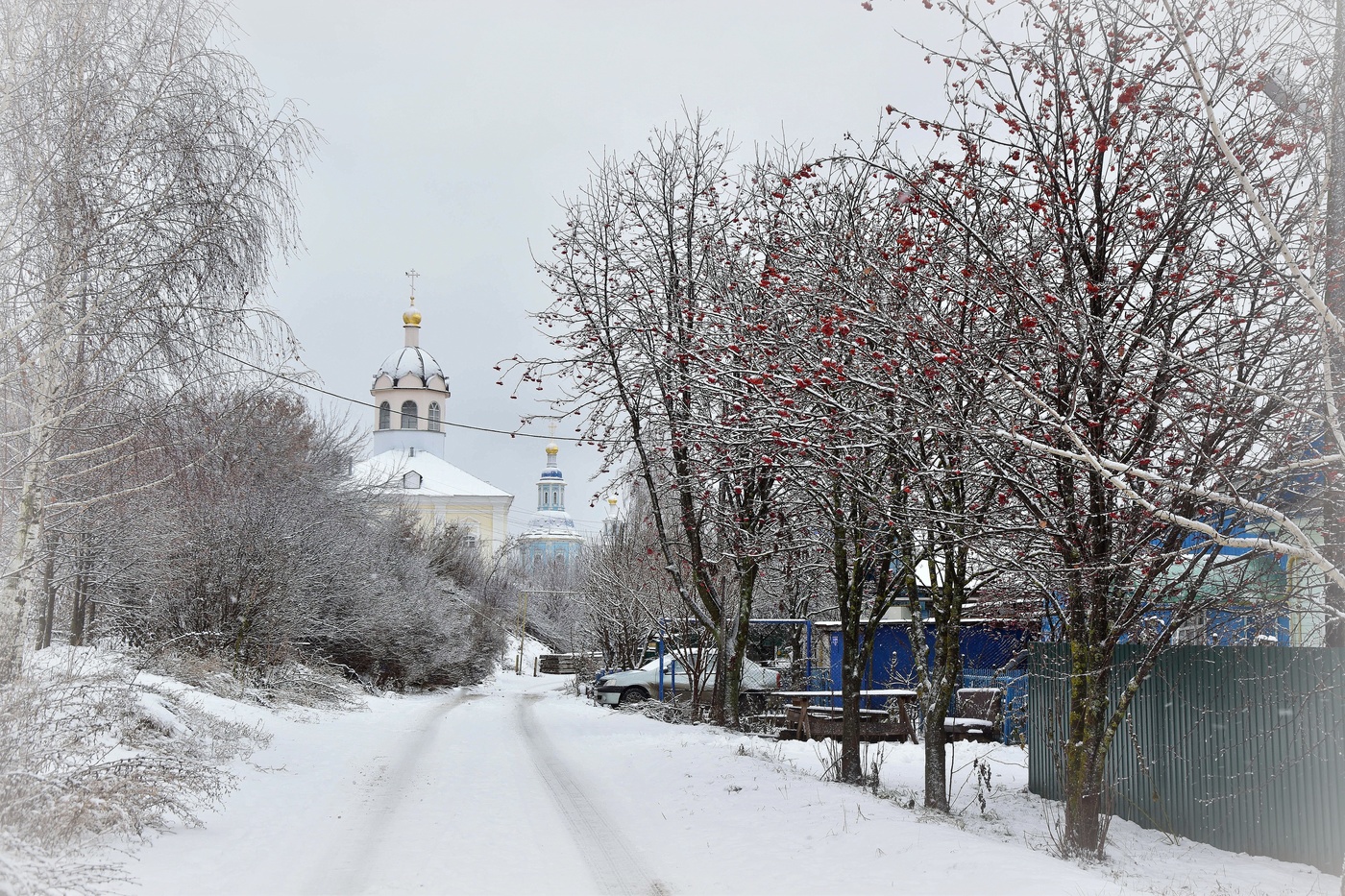 Привет, декабрь, мой друг сердешный!