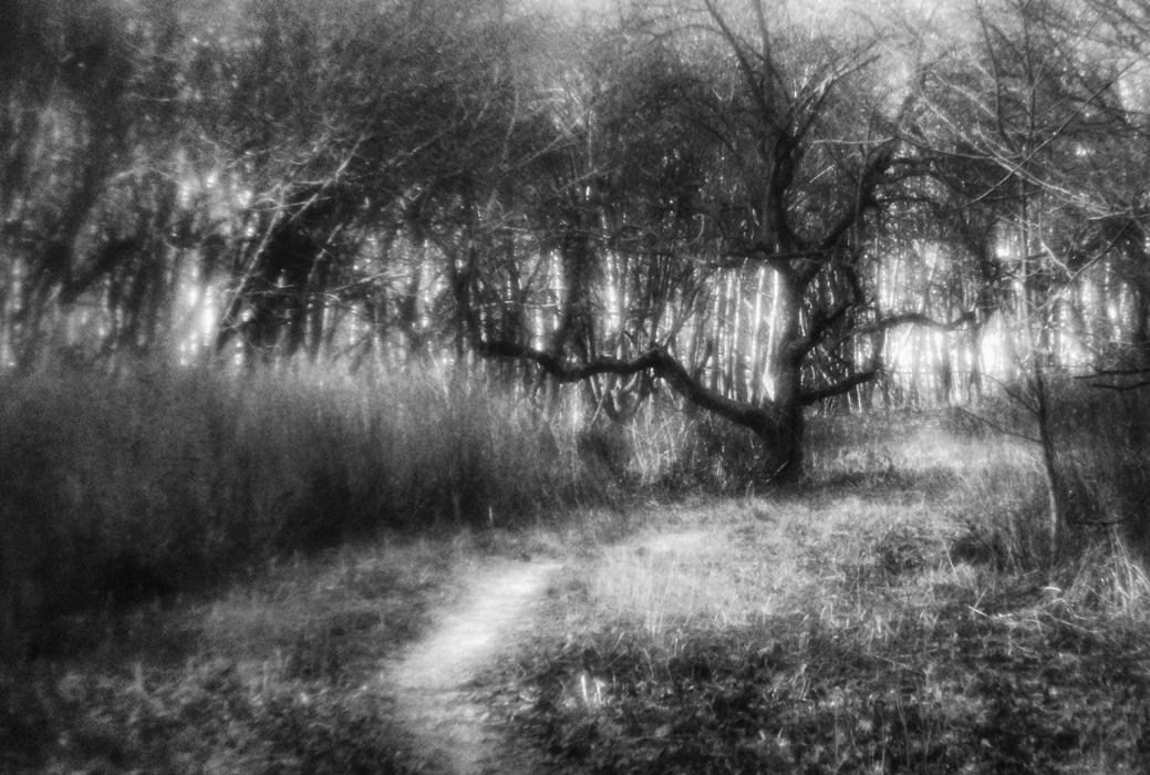 Прогулка в парке