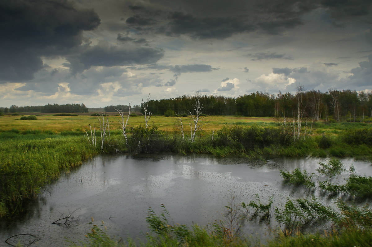 Местами идет дождь