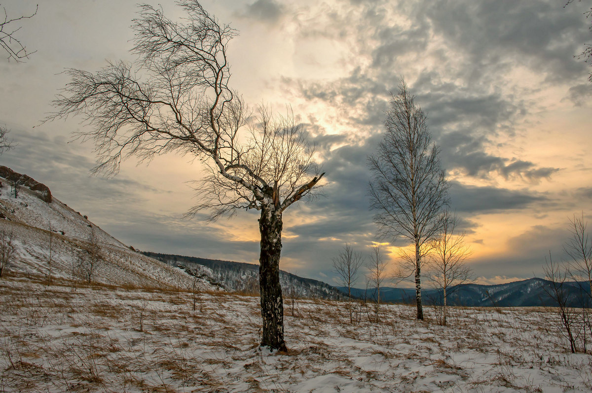 В полдень...