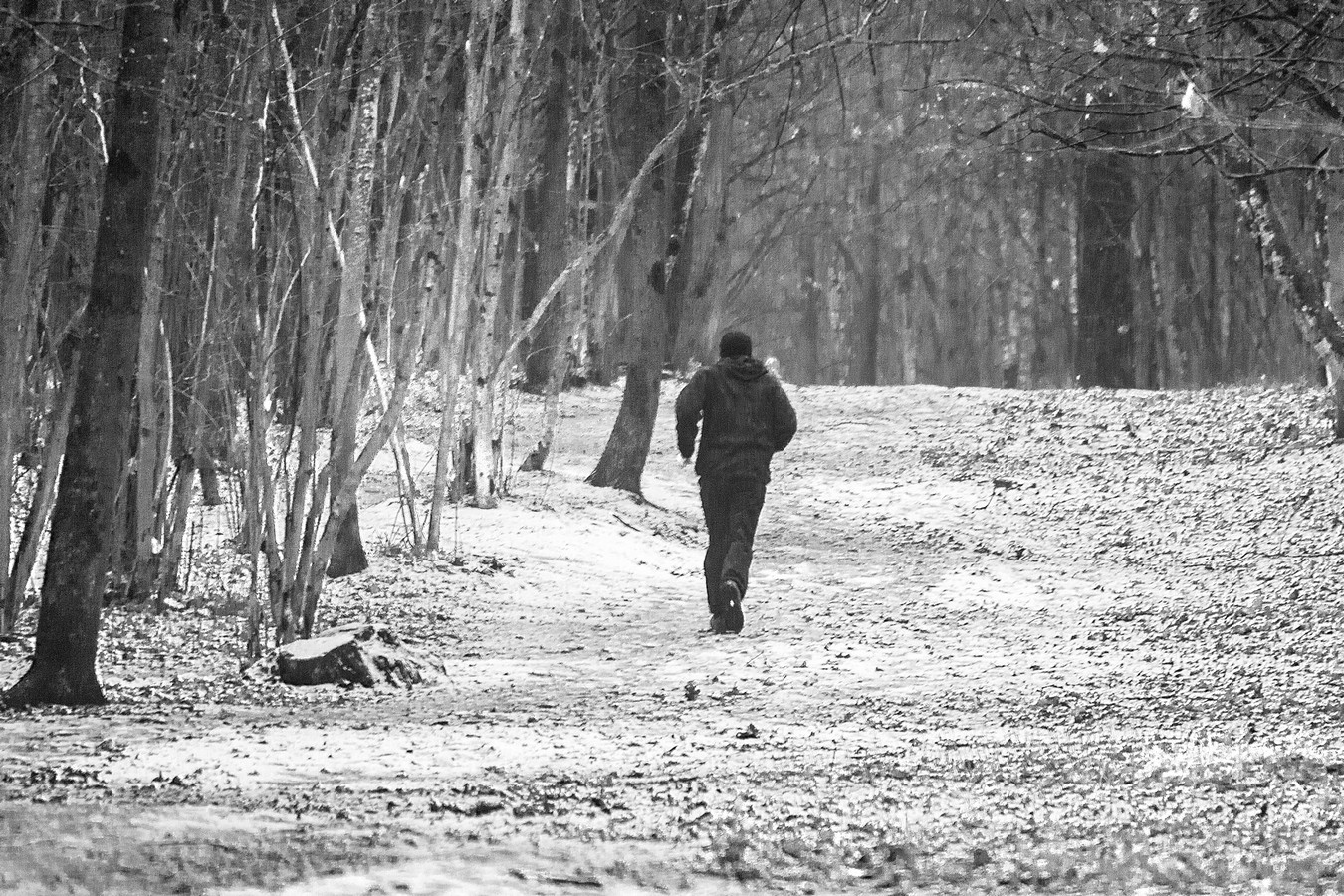 Я бегу, бегу, бегу,бегу, бегу...