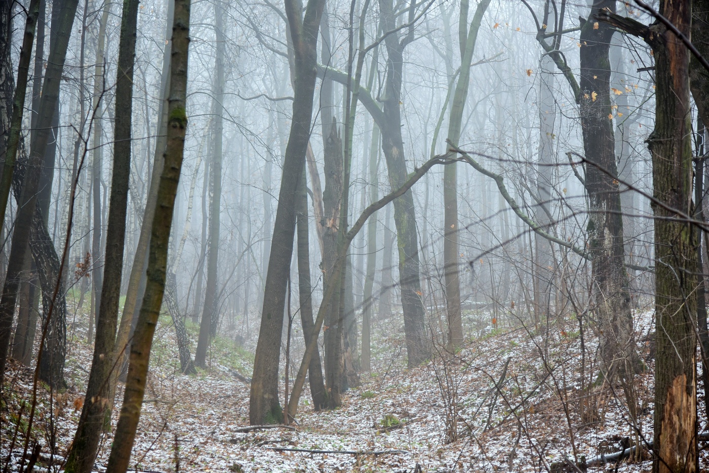 Уже не осень, еще не зима ...