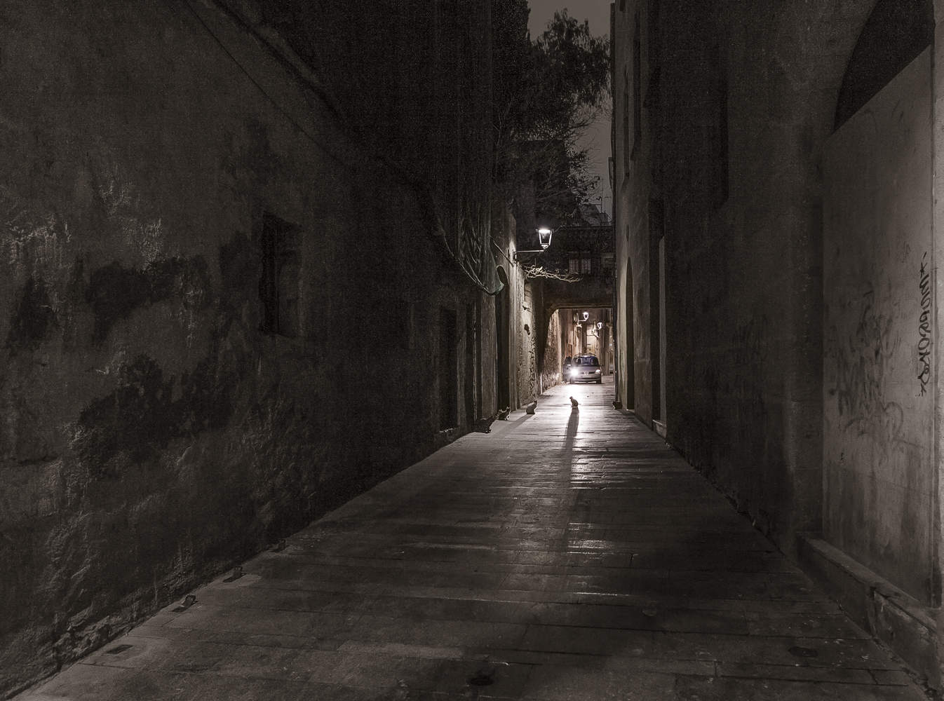 Ночью все кошки серые