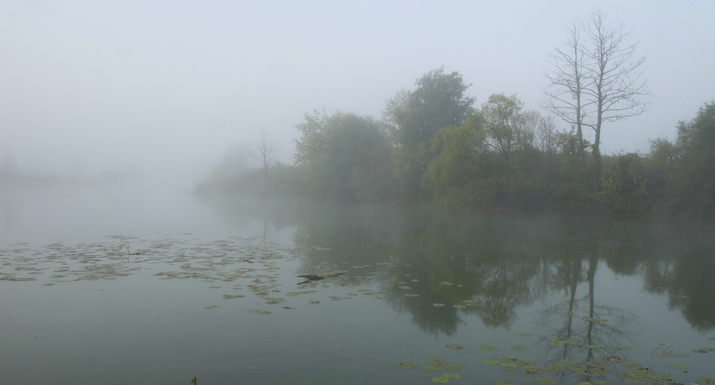 Туманный пейзаж.