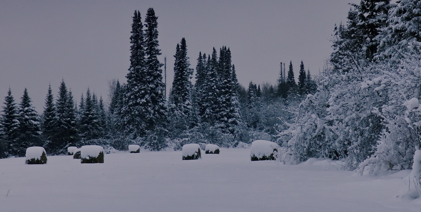 Серебро ноября.