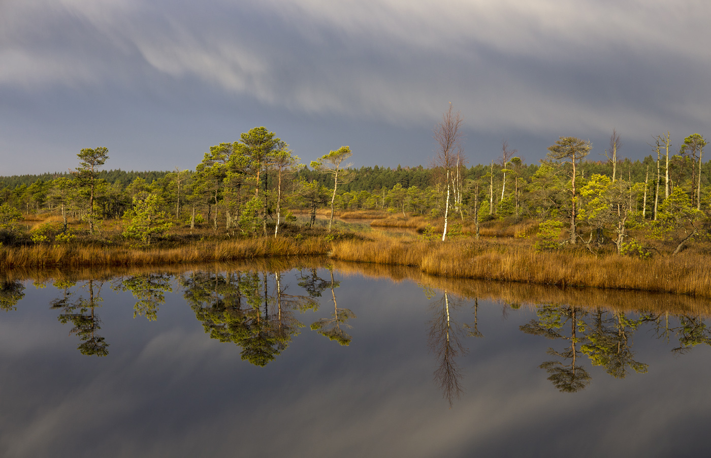 Отражения осени