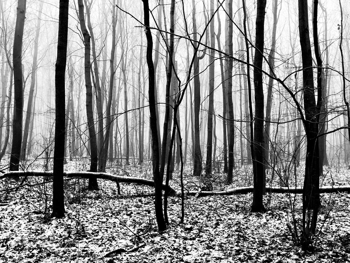 "Еще вчера... осенний день расплывчат был и слеп..."