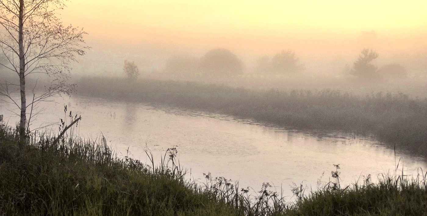 Туманная завеса