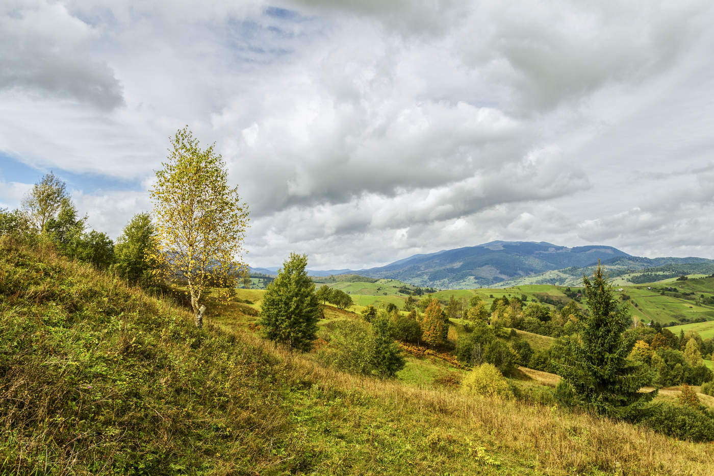 Прогулки осенние