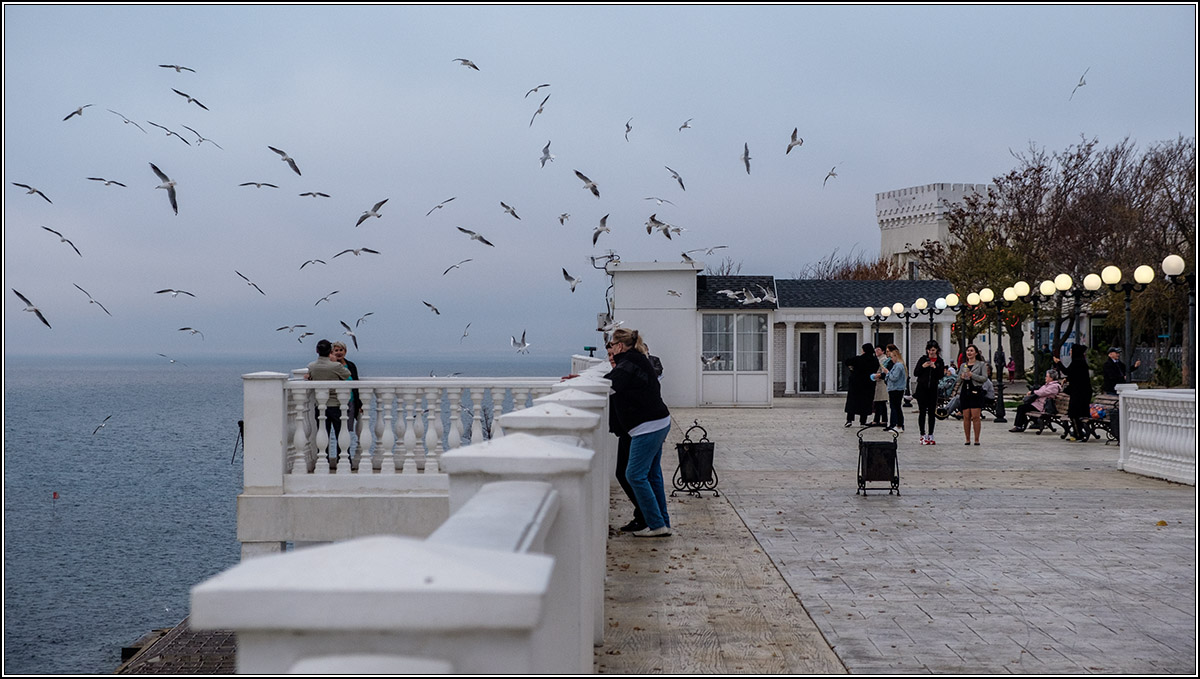 Птицы над городом.