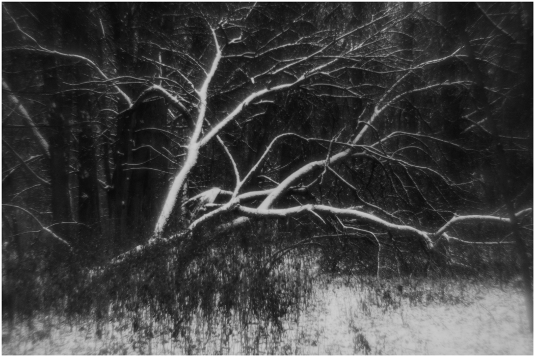 Первый снег