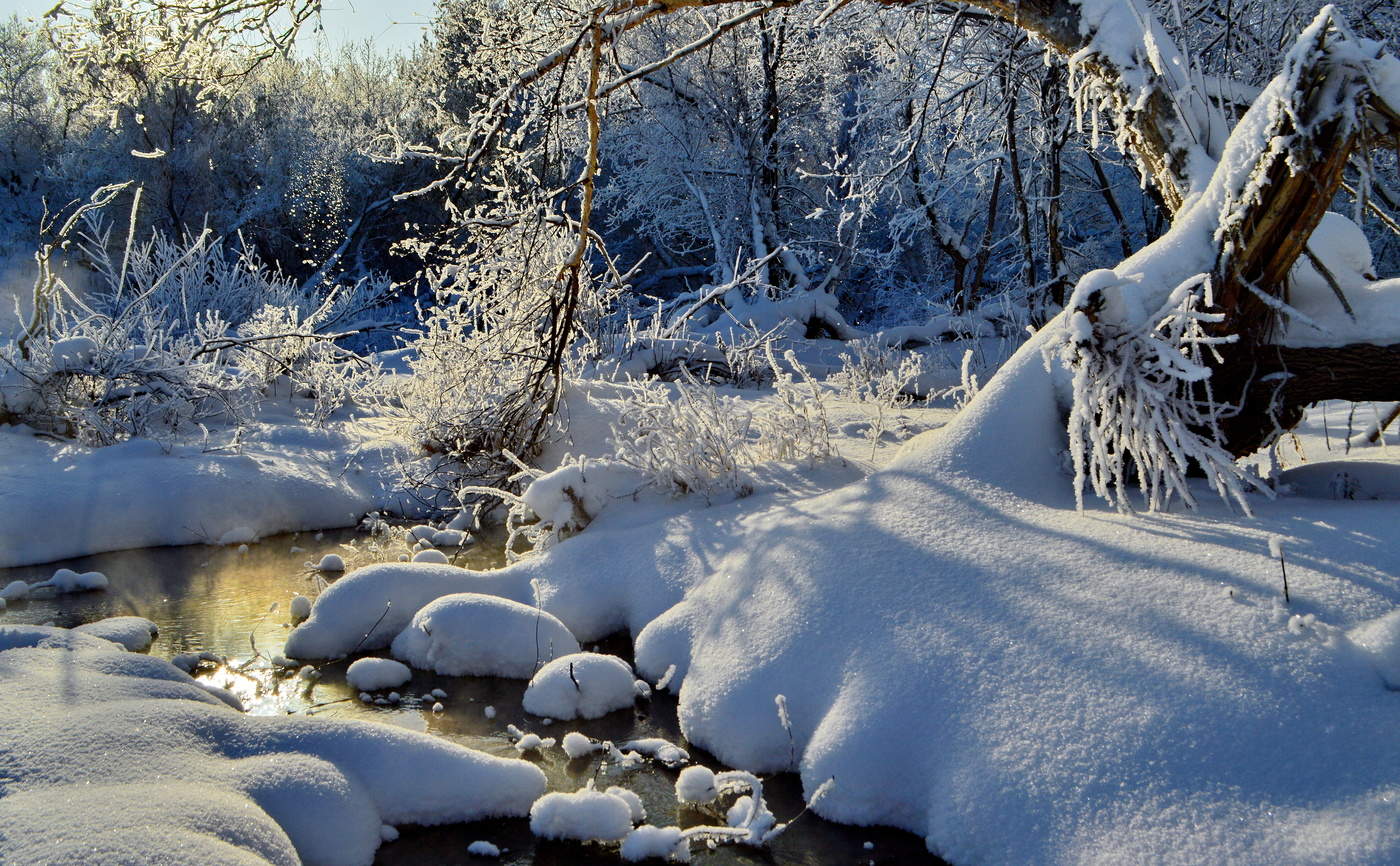 Зима, начало