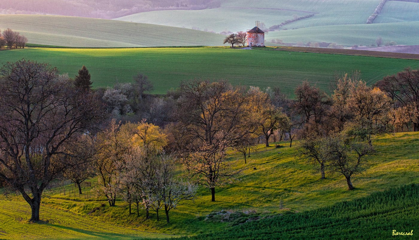 Старая мельница