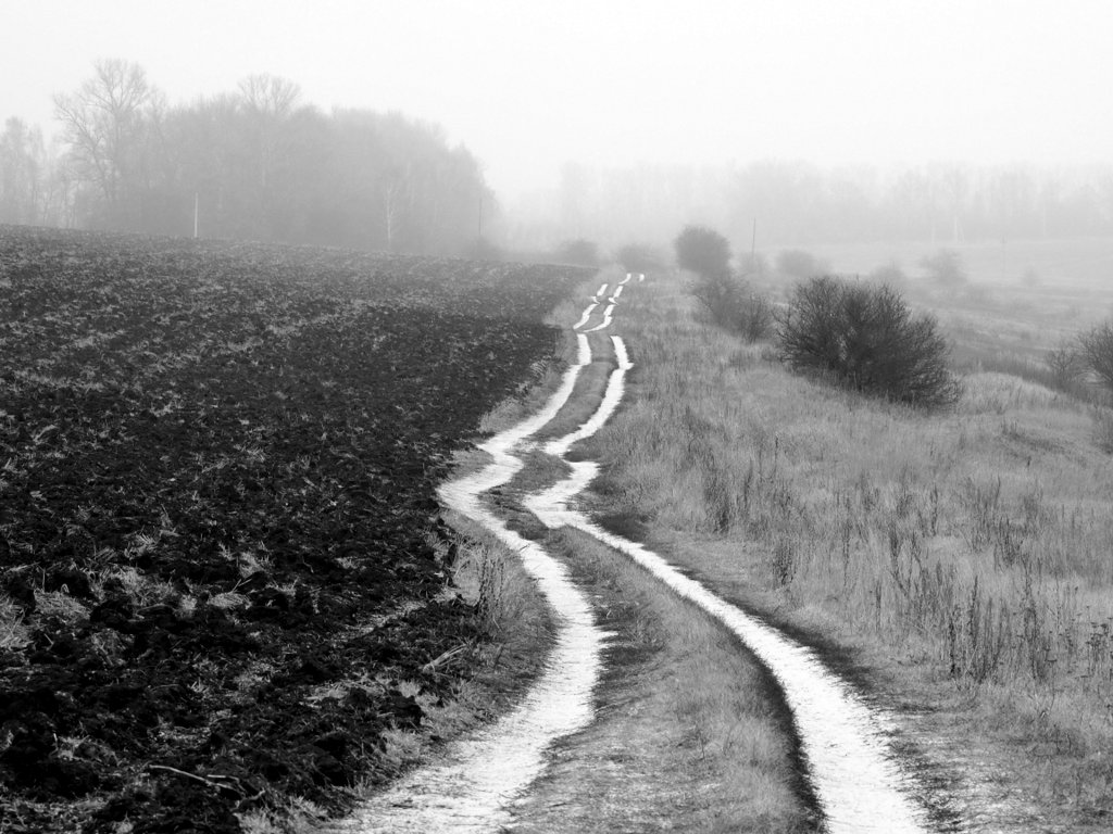 Зима, начало