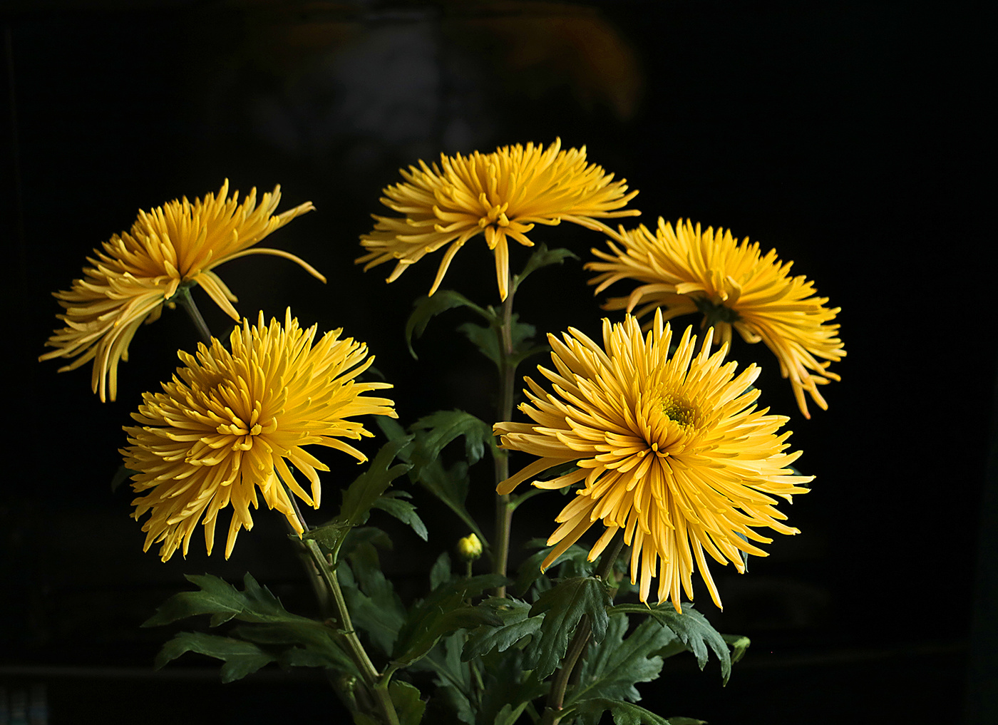 Золотой букет на Золотую свадьбу