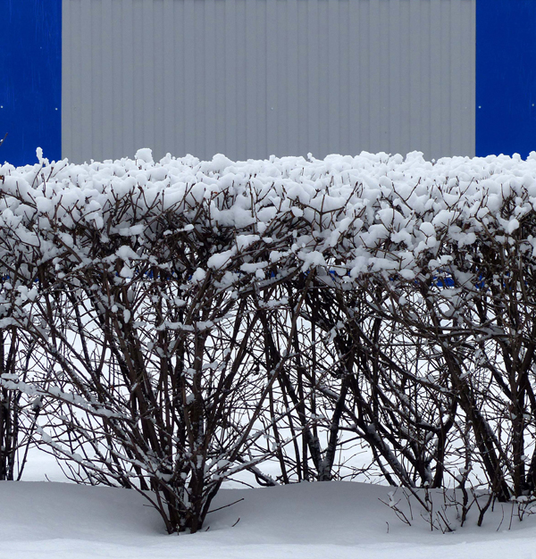 Зима, начало