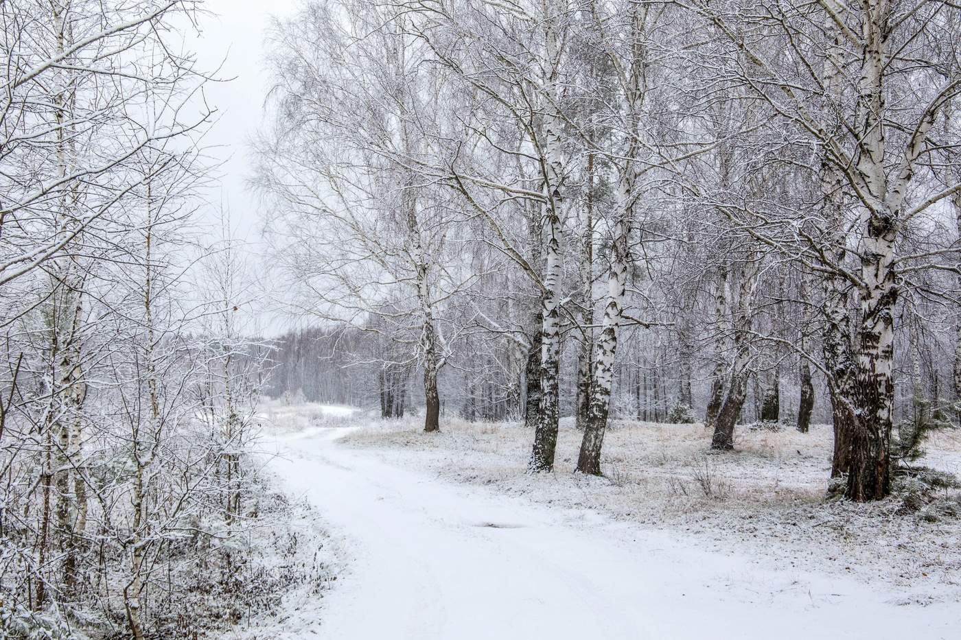 Зима, начало