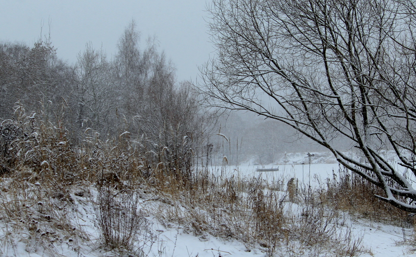 Зима, начало