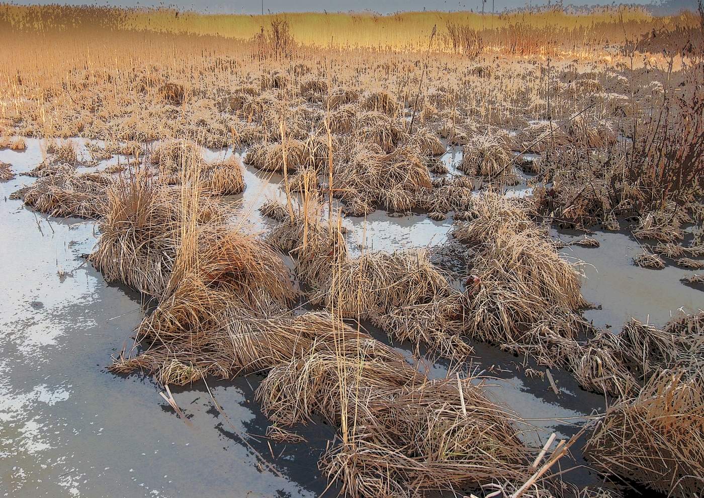 Зима, начало