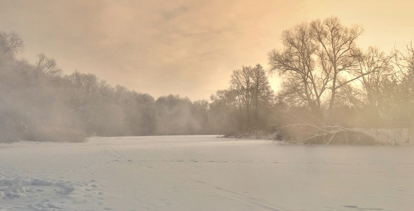 Декабрьская завеса туманная на тепло