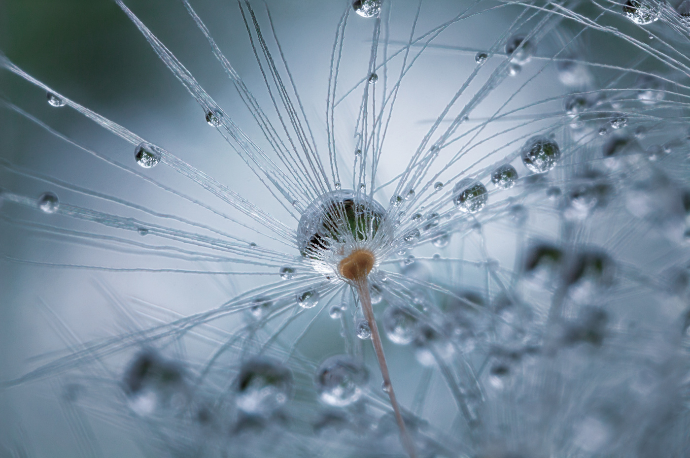 Микро миры, зонтик в жемчугах.