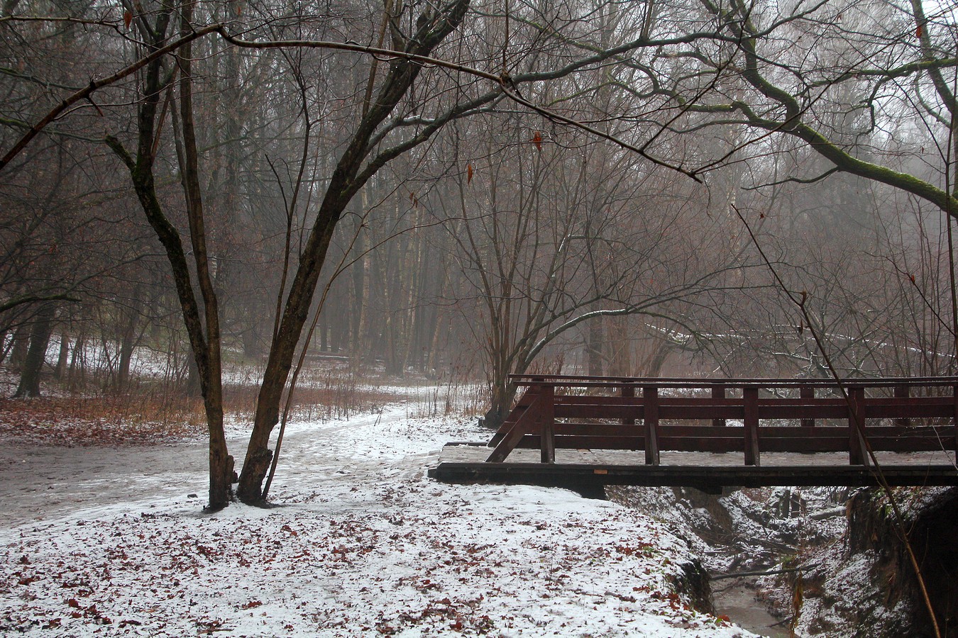 Такая вот зима