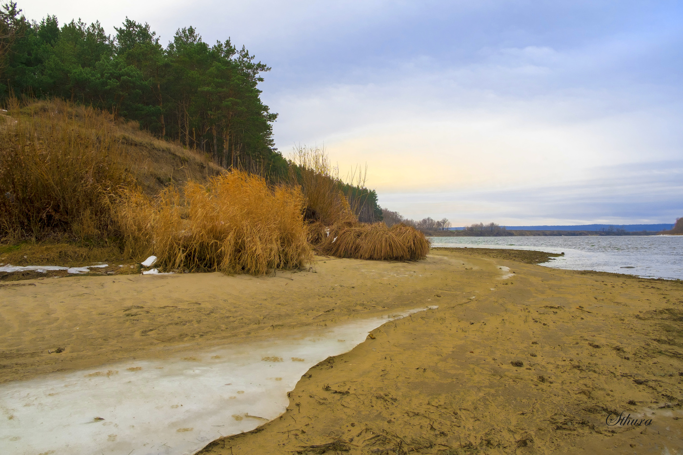 Левый берег Оки.