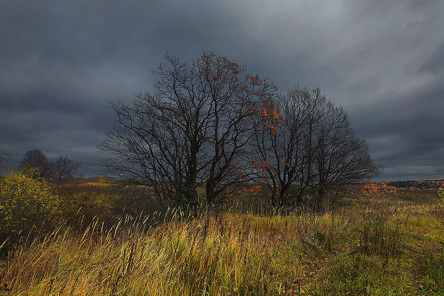 холодный день