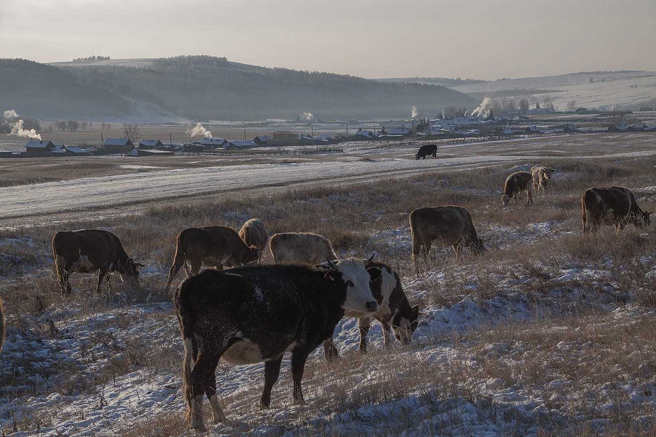 В любую погоду