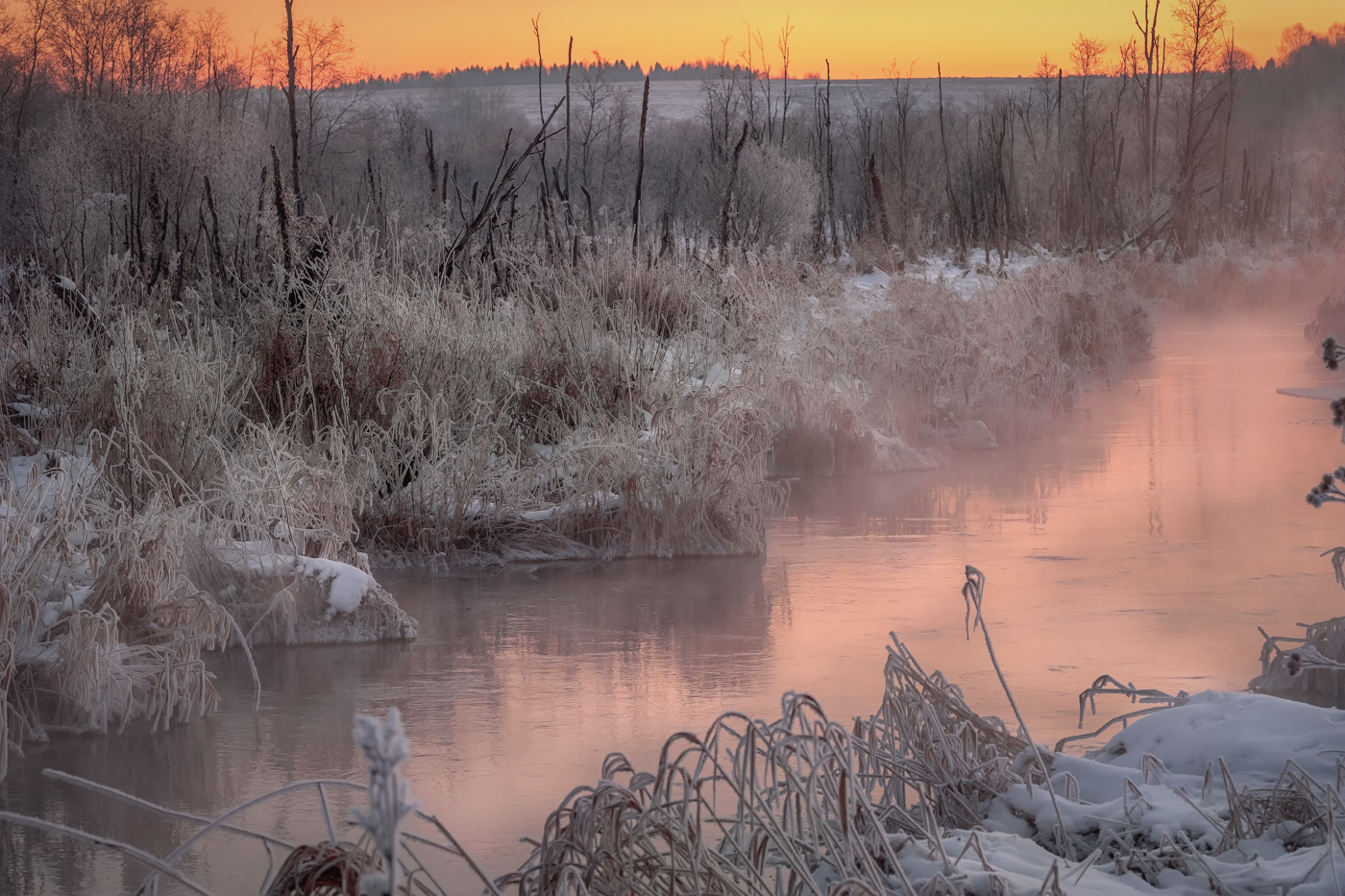 Зимнее болото на рассвете
