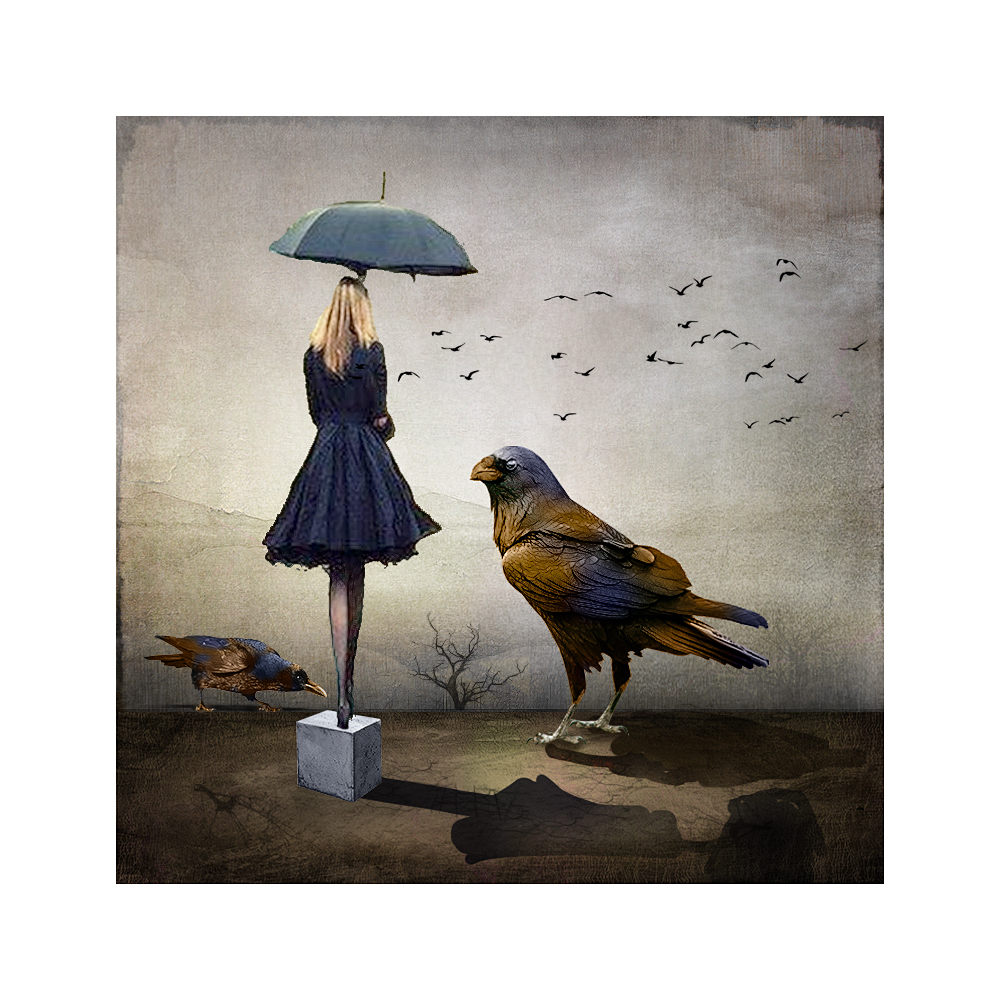 девушка и птички