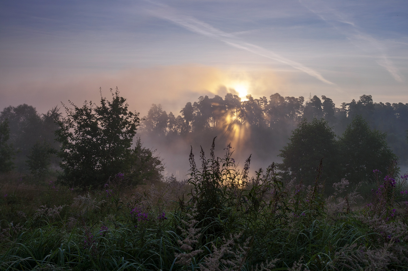Летнее утро