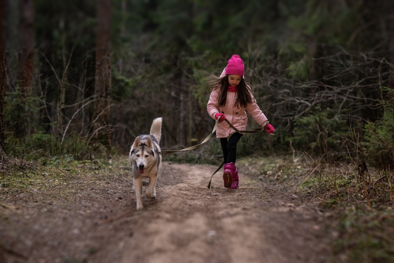 Бег в сосновом бору