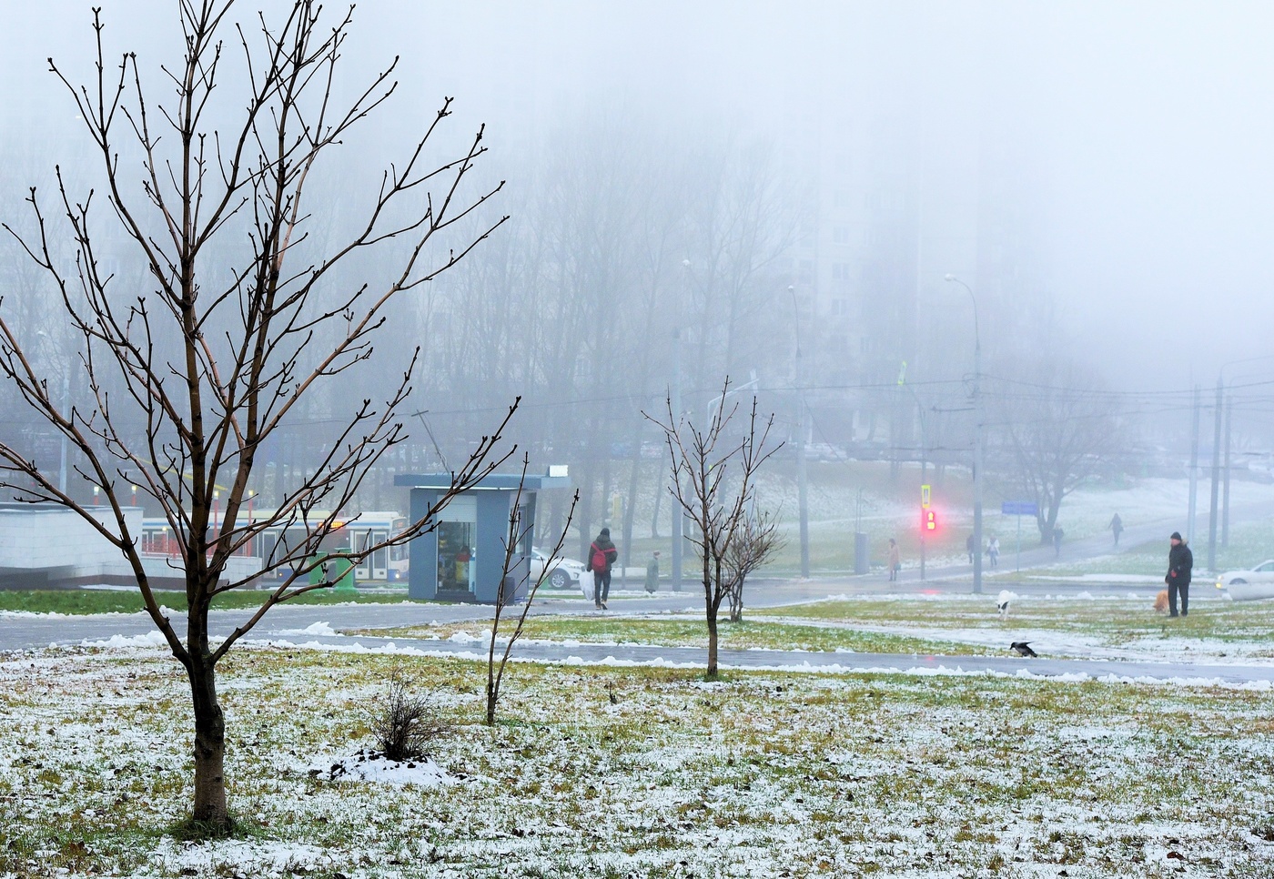 "Туман на город бросил серую вуаль ..."