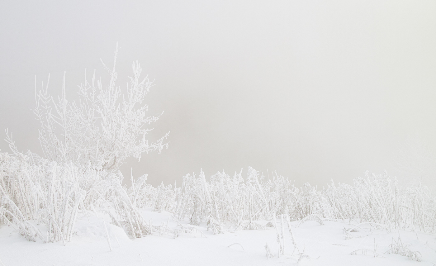 Морозным зимним утром