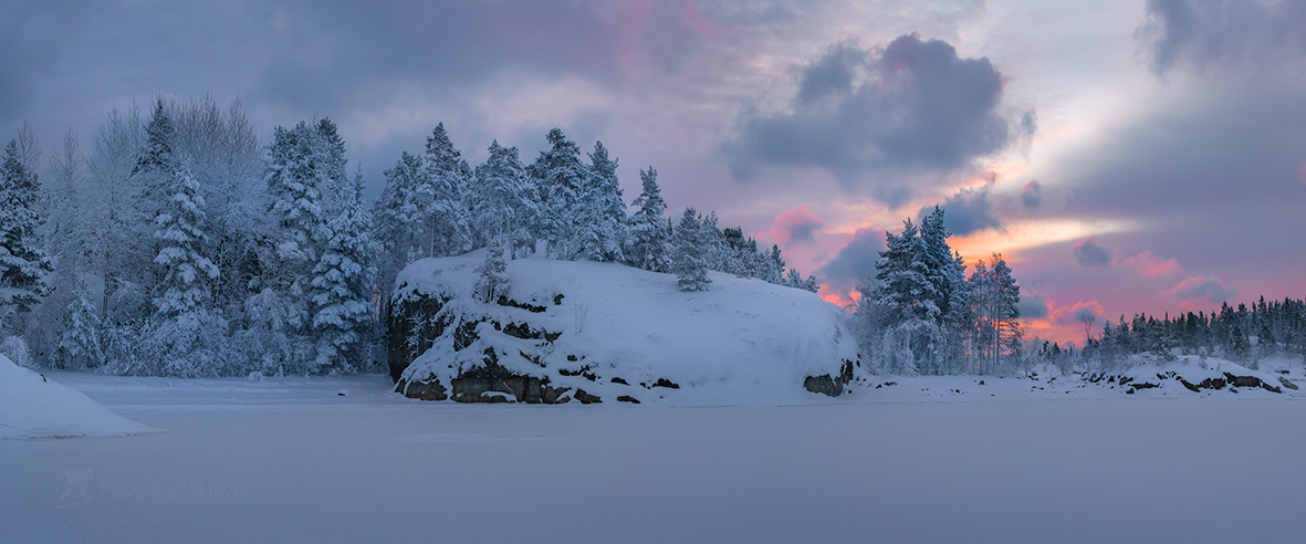 Заснеженный лес на острове