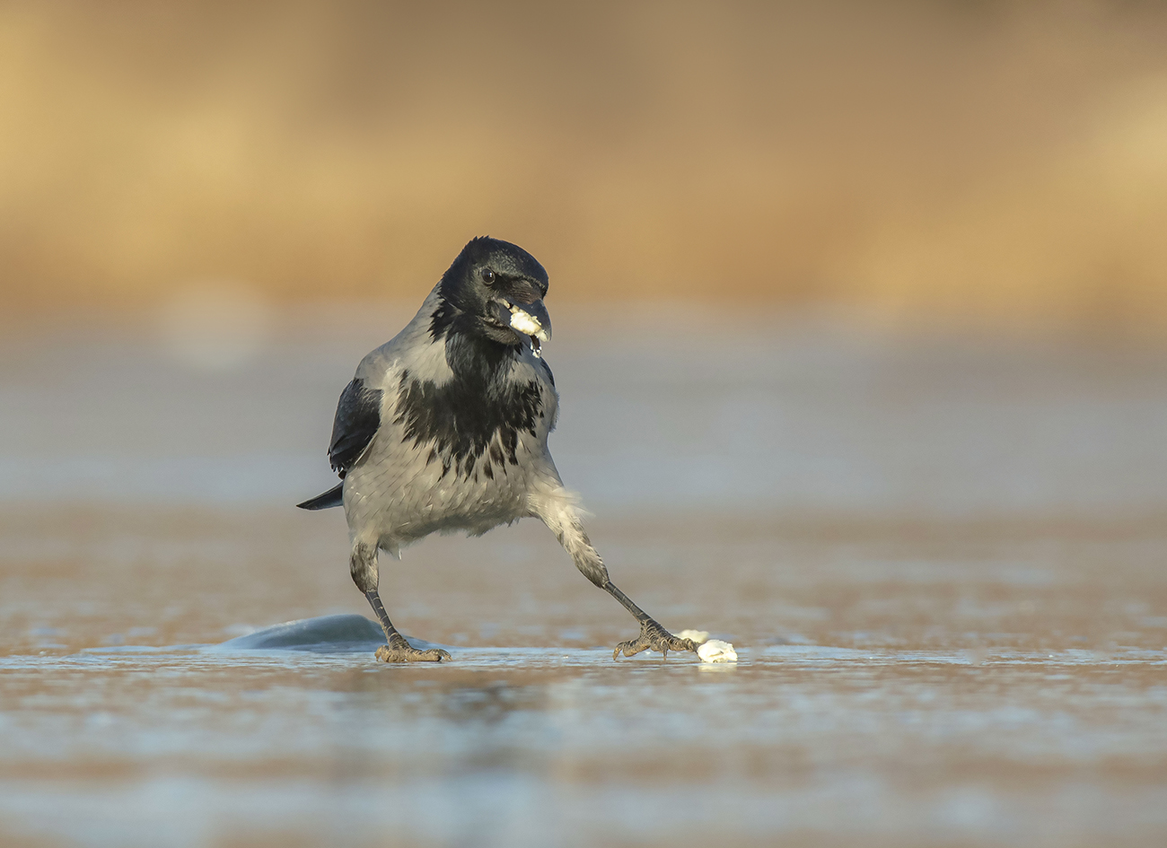 Это тоже моё...