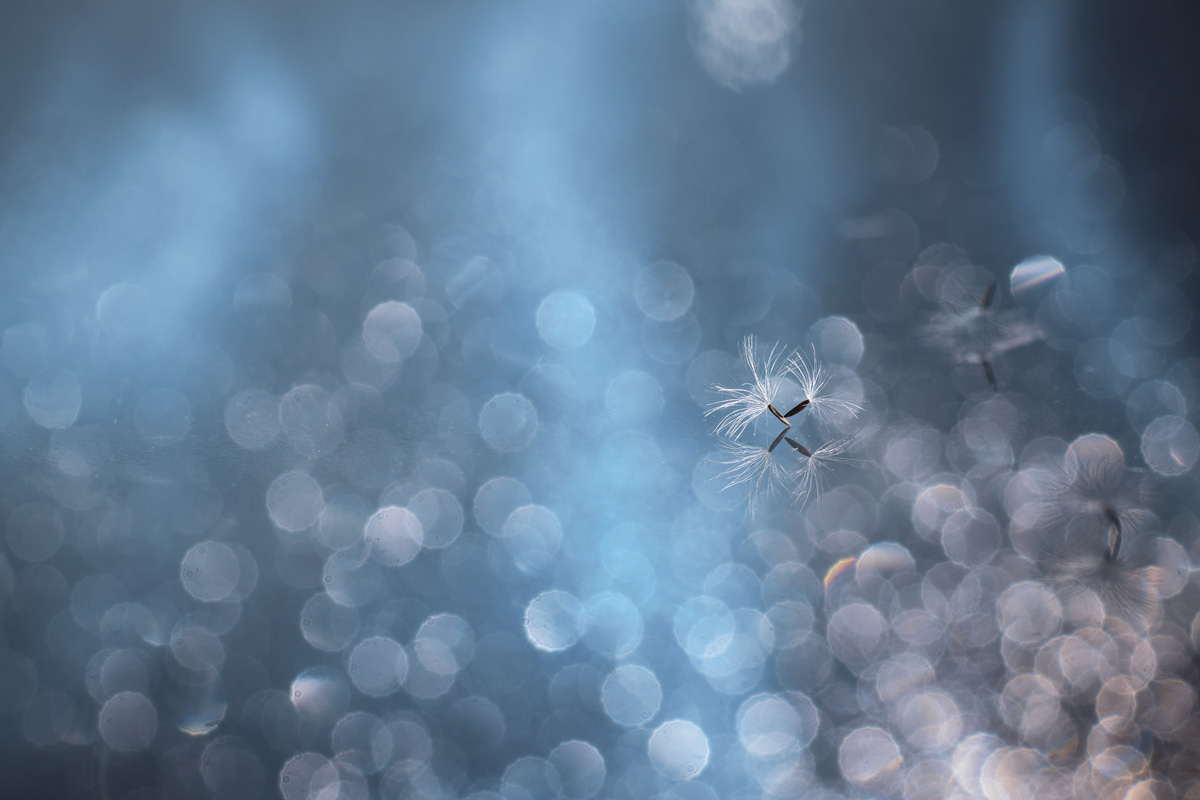 танец в пространстве...