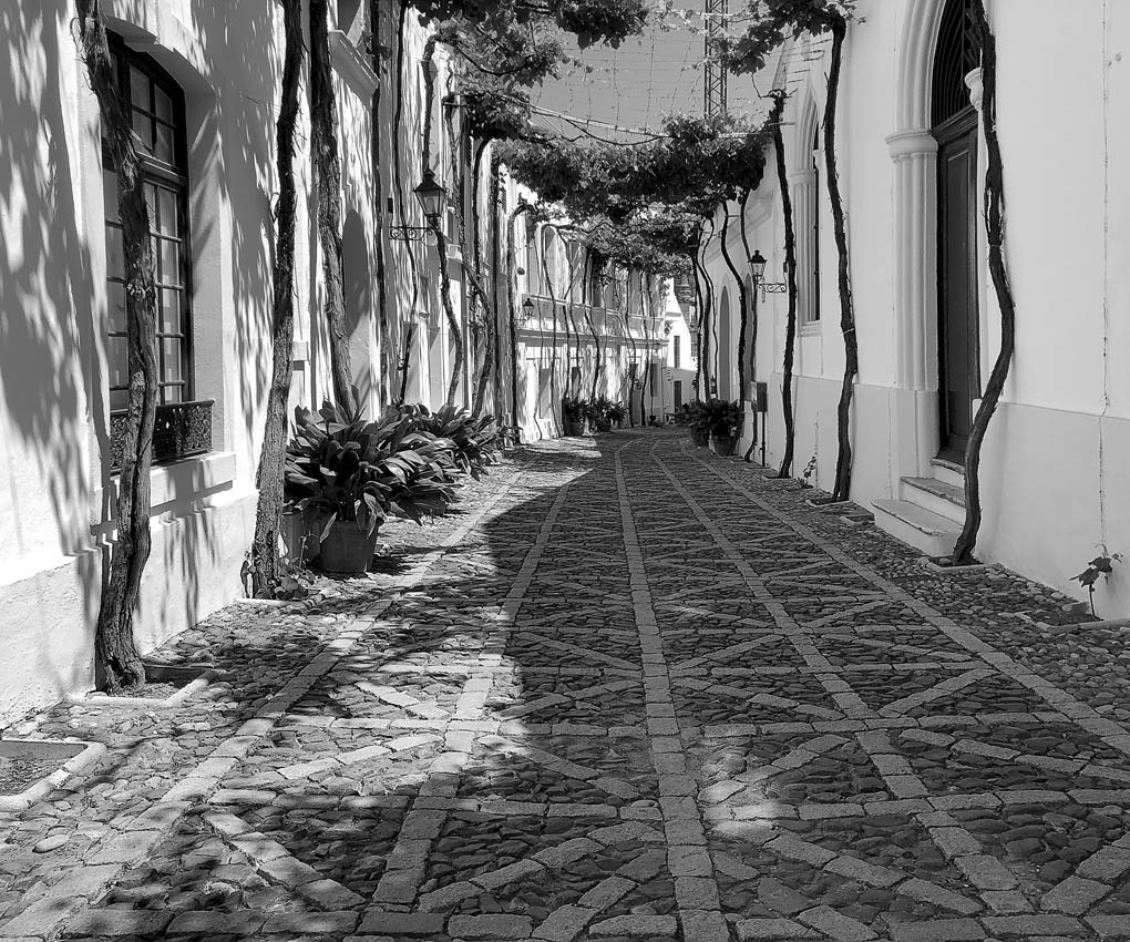 Улица света, ритма и теней