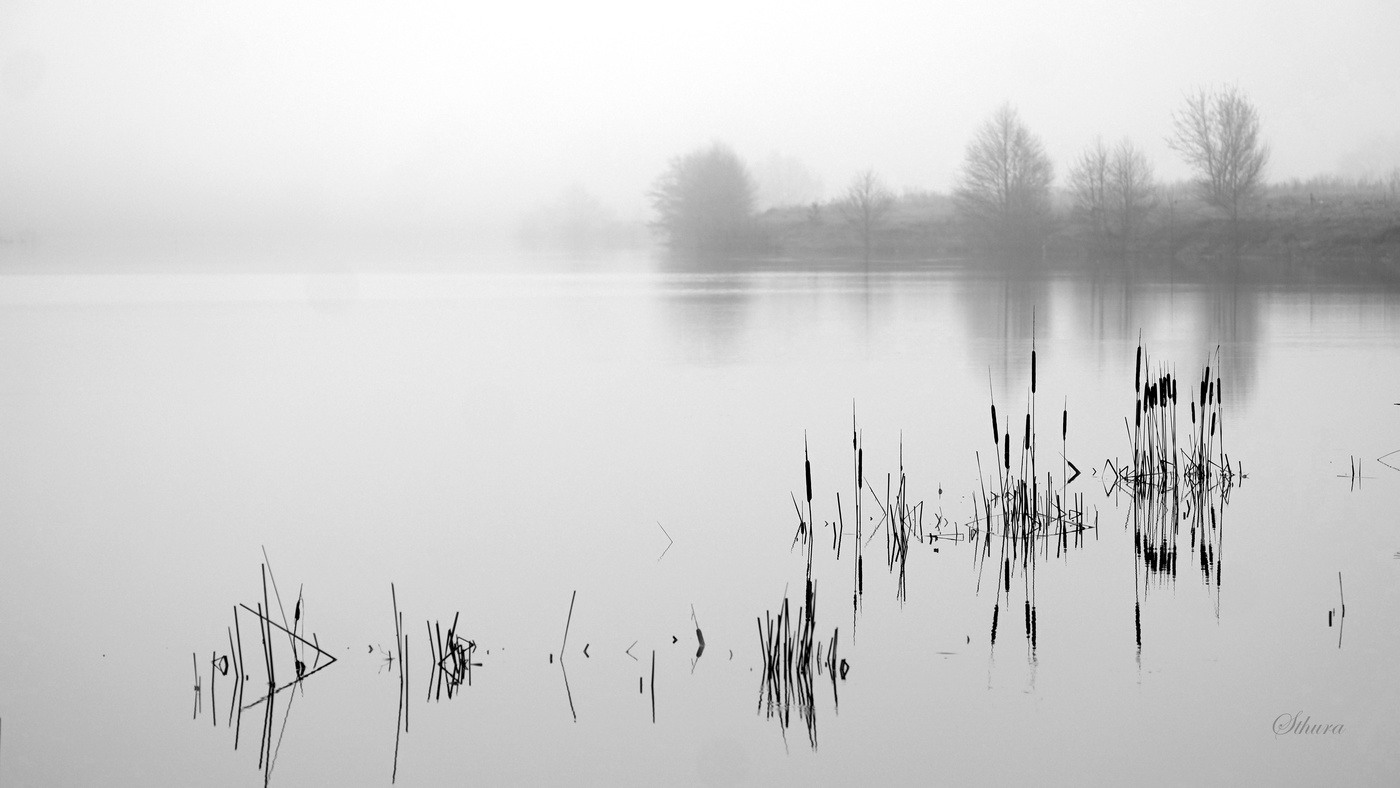 Пасмурное утро.
