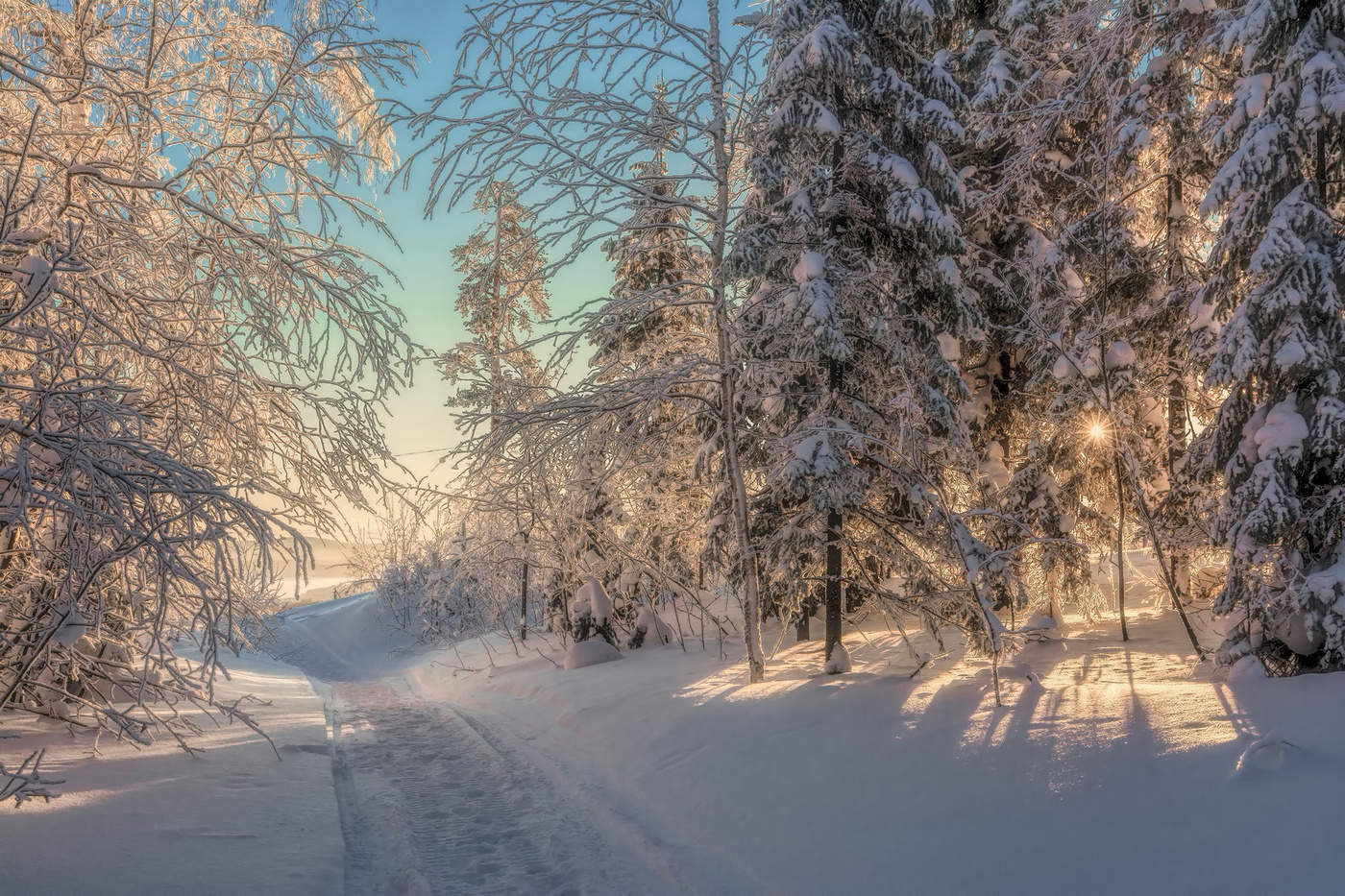 Солнечное утро