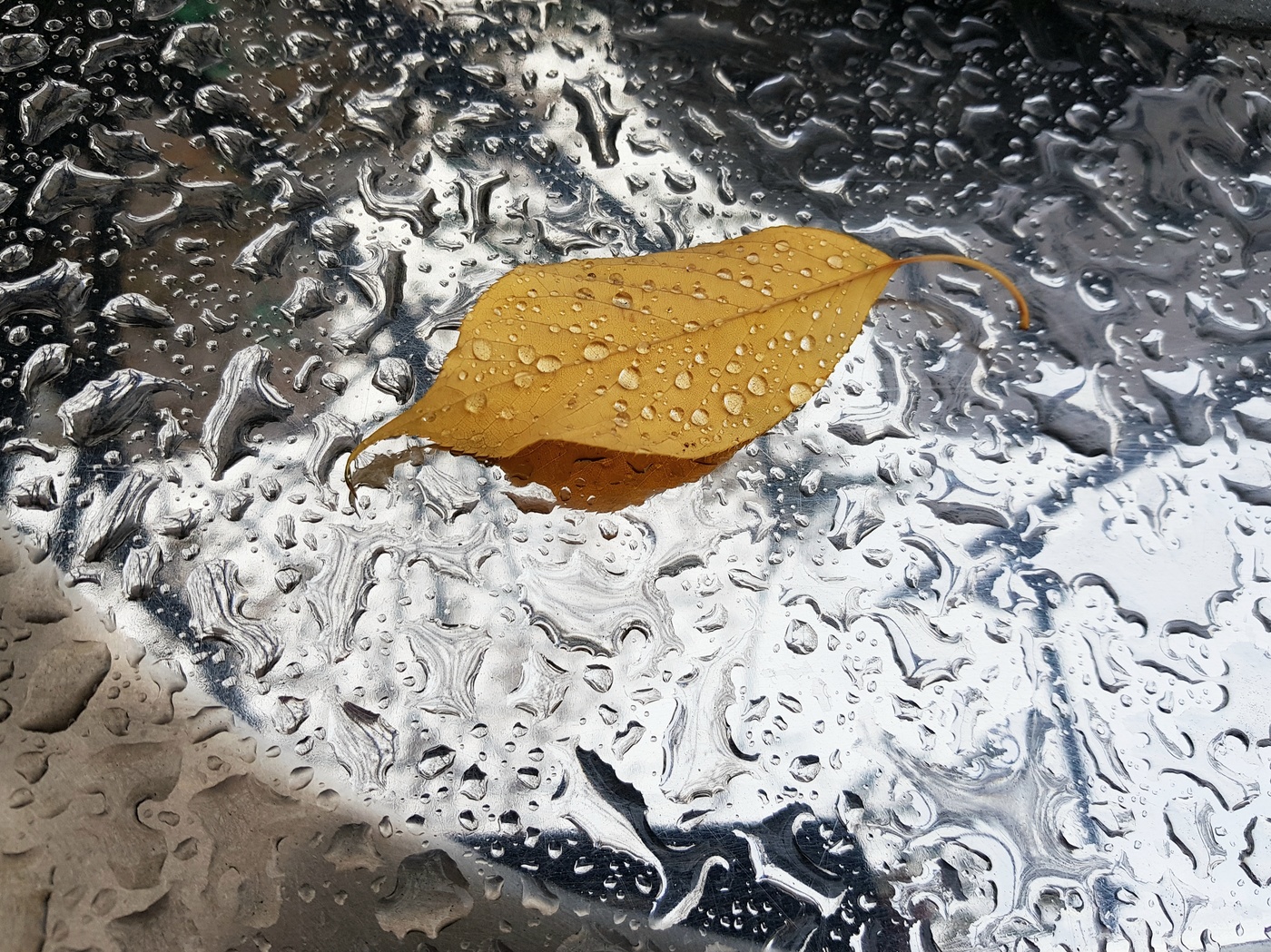 На мой взгляд