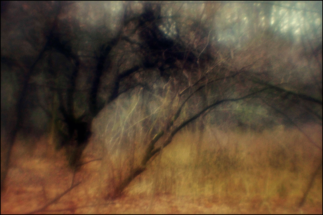 Прогулка в парке-2